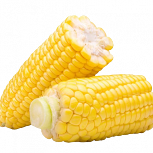 Corn